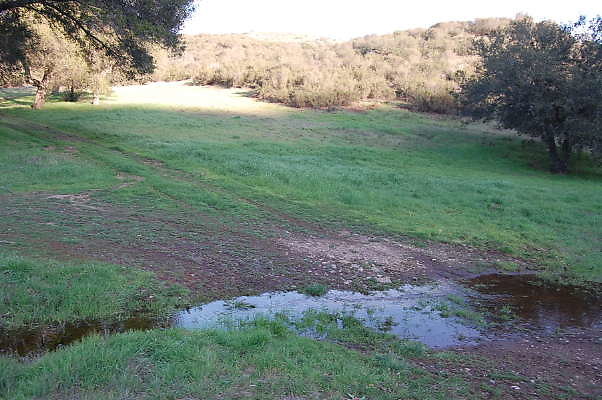 DSC 0091