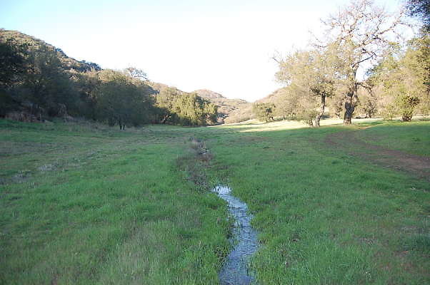 DSC 0074