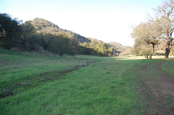 DSC 0079