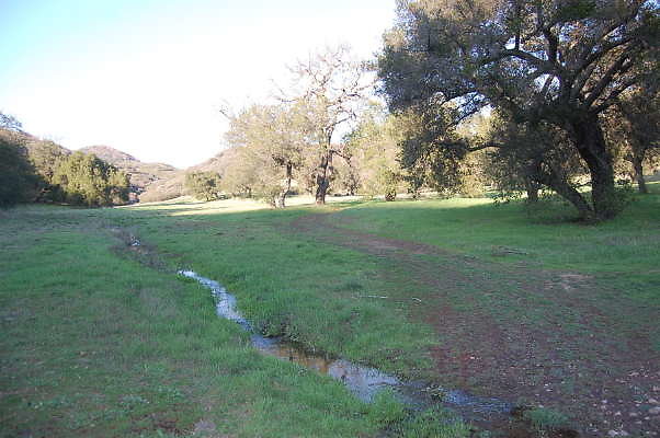 DSC 0073