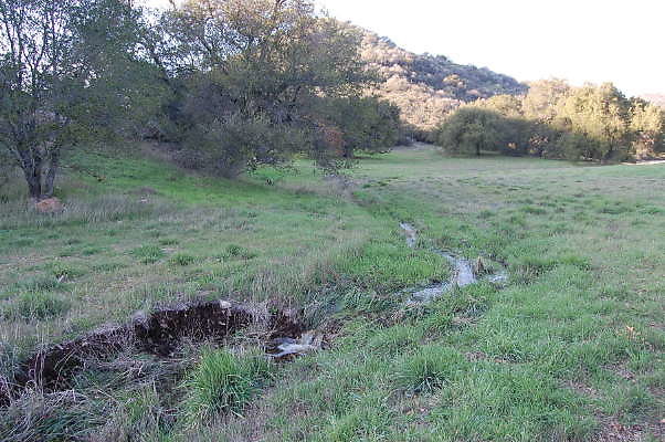 DSC 0082