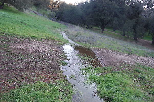 DSC 0081