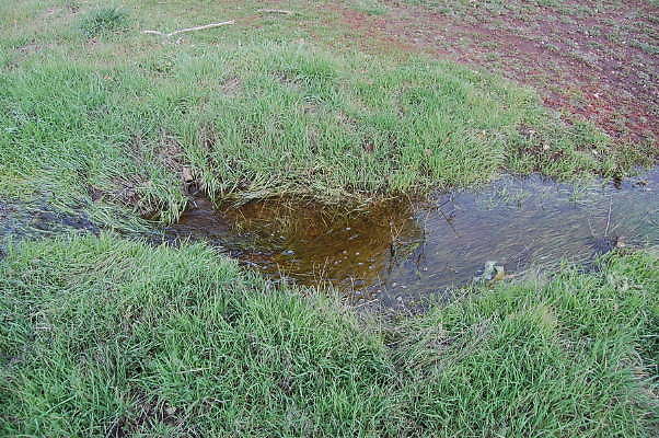 DSC 0071