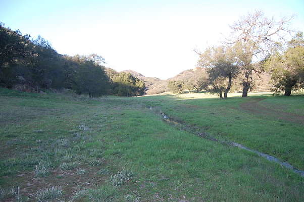 DSC 0089