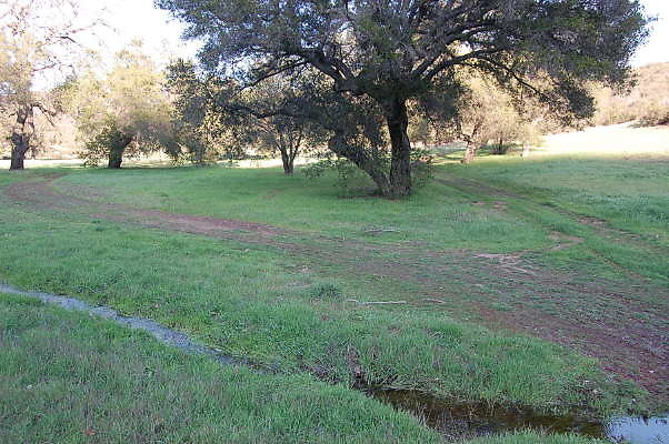 DSC 0090