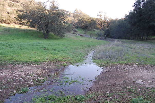 DSC 0072