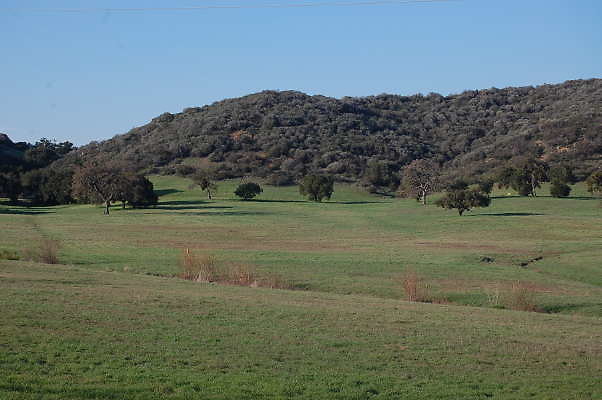 DSC 0066