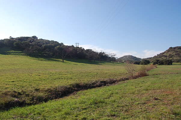 DSC 0937