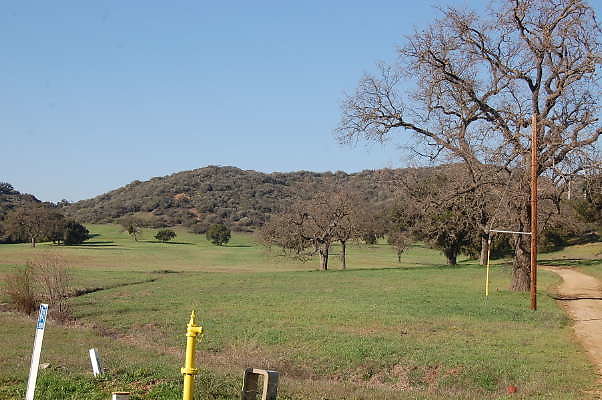 DSC 0935