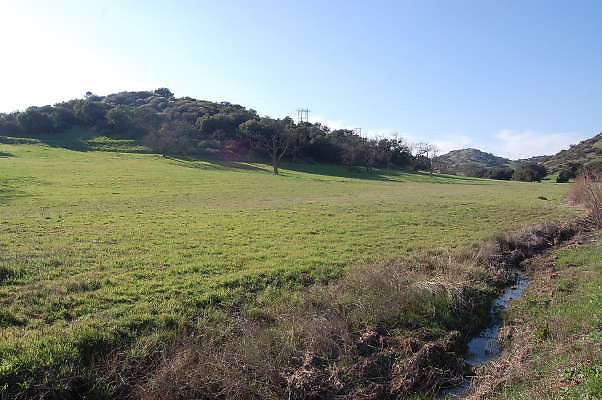 DSC 0915