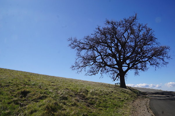 MCRA.Joglin.Ranch.102