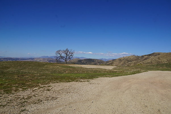 MCRA.Joglin.Ranch.75