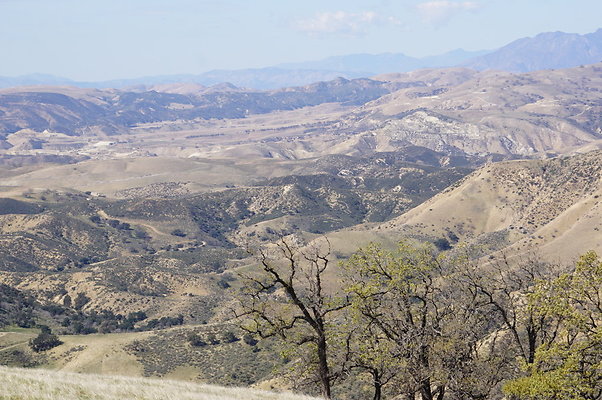 MCRA.Joglin.Ranch.95