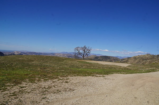 MCRA.Joglin.Ranch.74