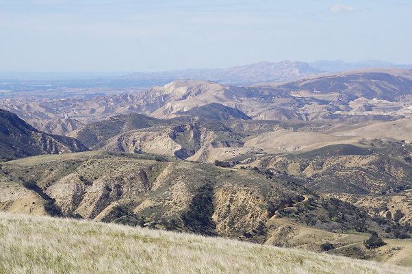 MCRA.Joglin.Ranch.94