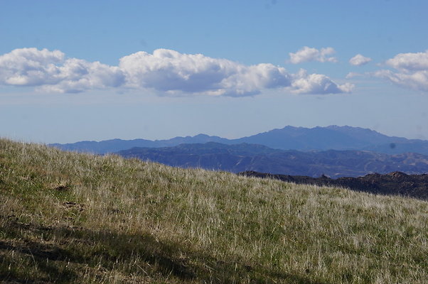 MCRA.Joglin.Ranch.91