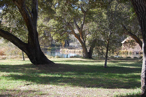 Pond Area