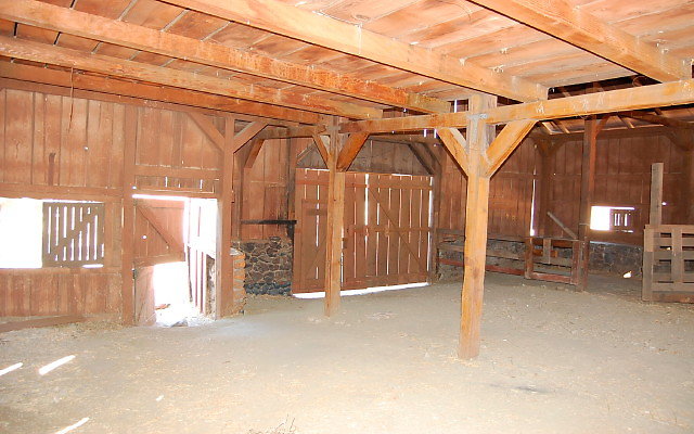 DSC 0037