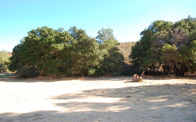 DSC 0023