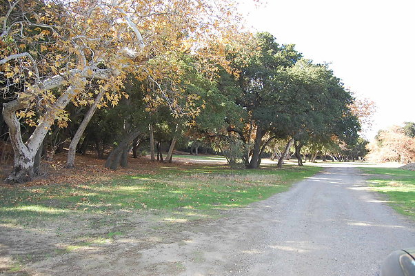 DSC 0094