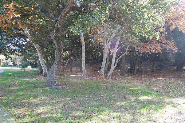 DSC 0092