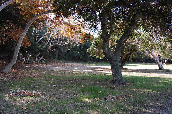 DSC 0098