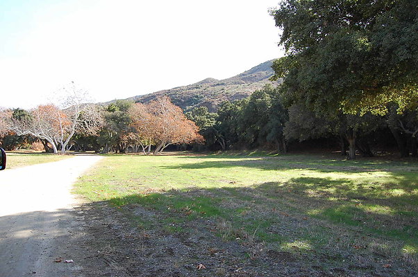 DSC 0073