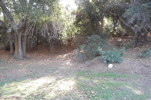 DSC 0054