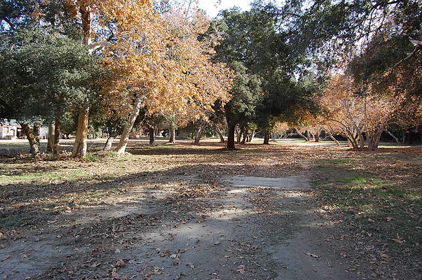 DSC 0058