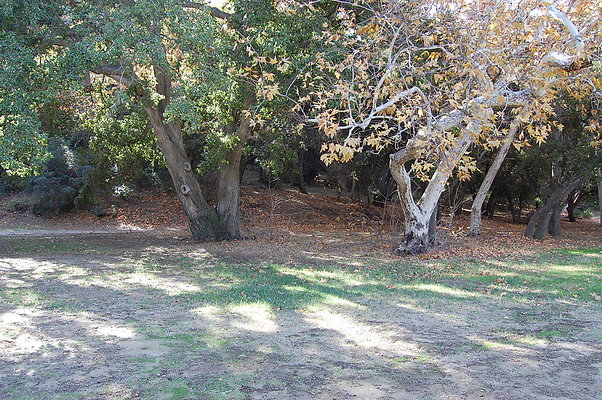 DSC 0093