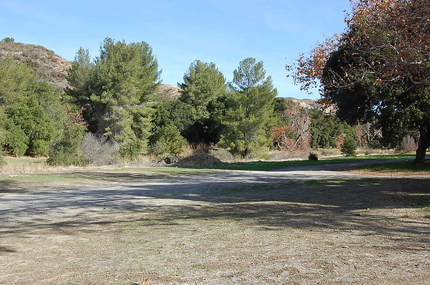DSC 0088