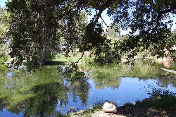 DSC 0069