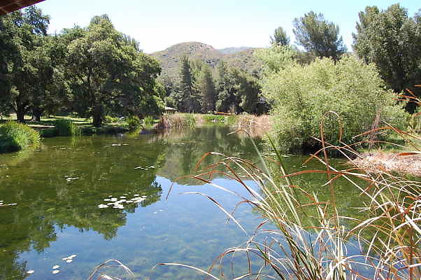 DSC 0046