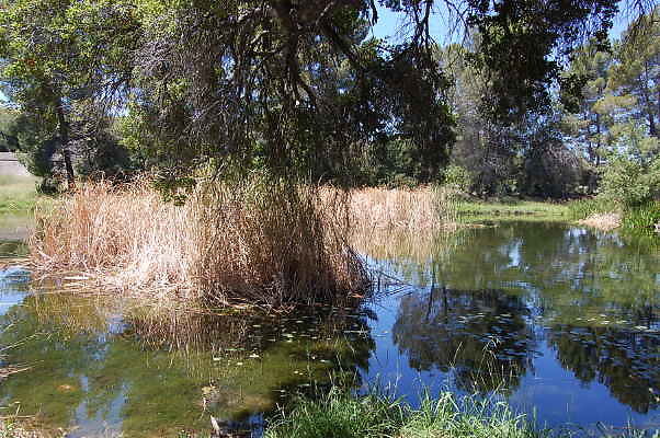 DSC 0066
