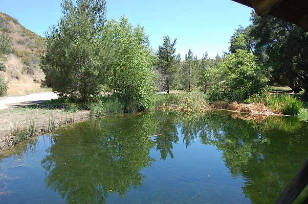 DSC 0037