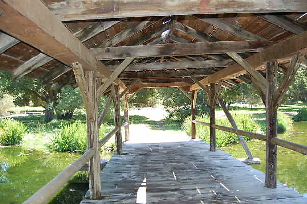DSC 0045