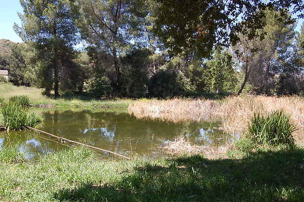 DSC 0063