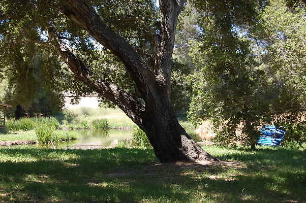 DSC 0060