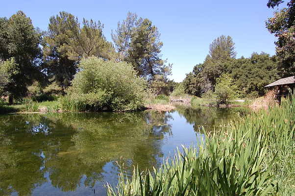 DSC 0074