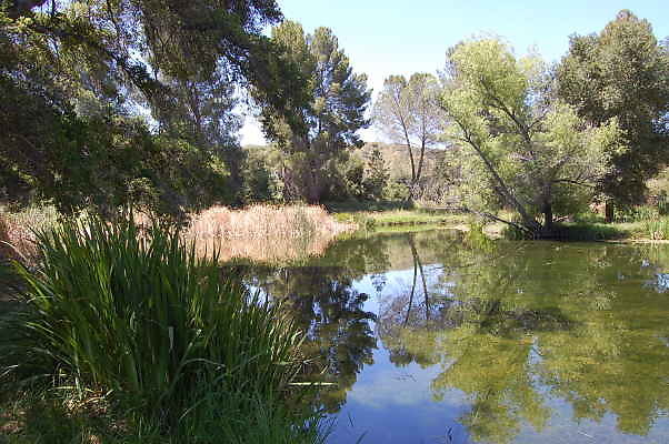 DSC 0073