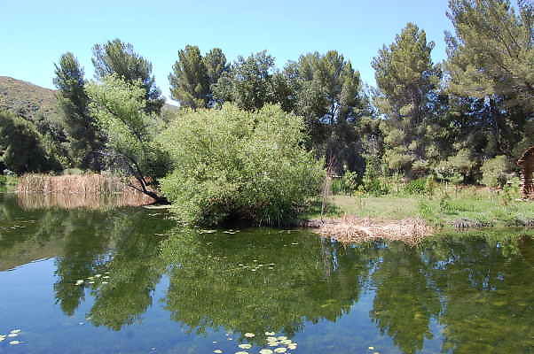 DSC 0042