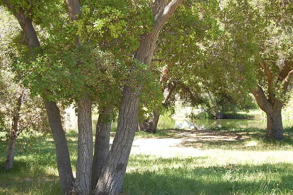 DSC 0061