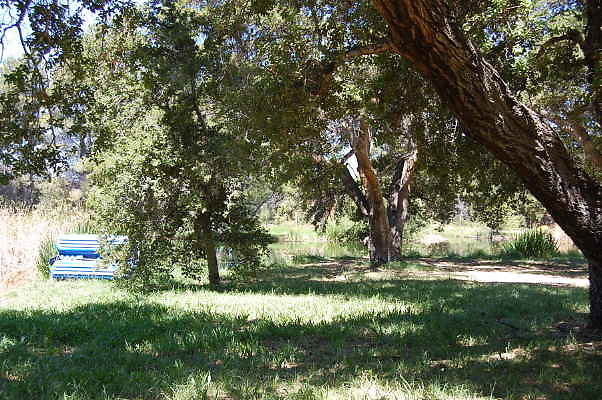 DSC 0064