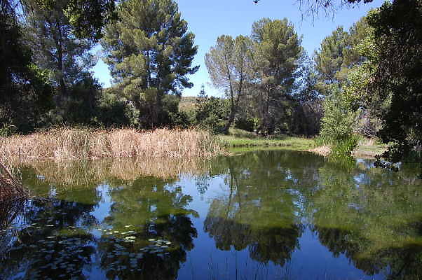 DSC 0068