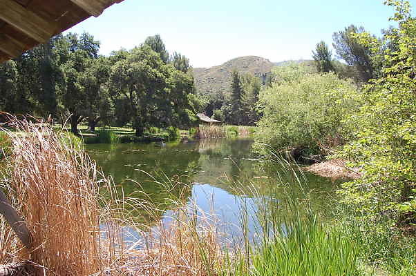 DSC 0047