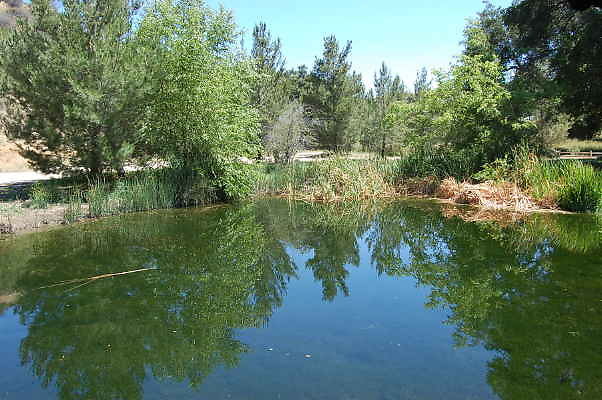 DSC 0038