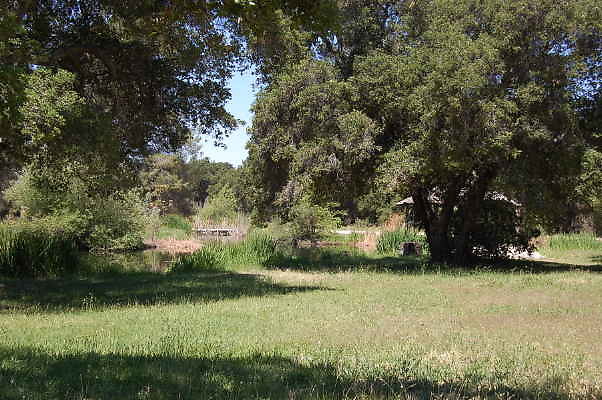 DSC 0062