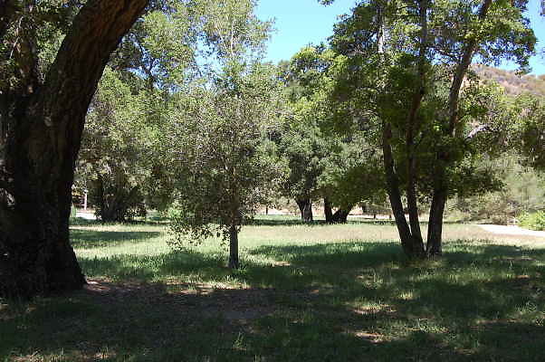 DSC 0065