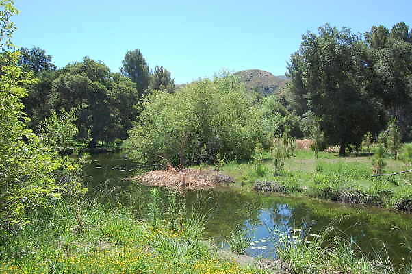 DSC 0035