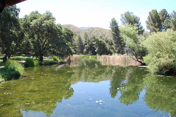 DSC 0041